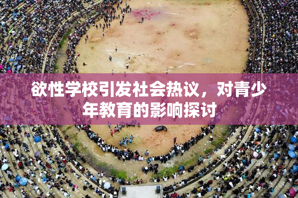 欲性学校引发社会热议，对青少年教育的影响探讨