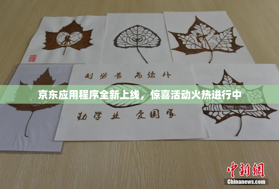 京东应用程序全新上线，惊喜活动火热进行中
