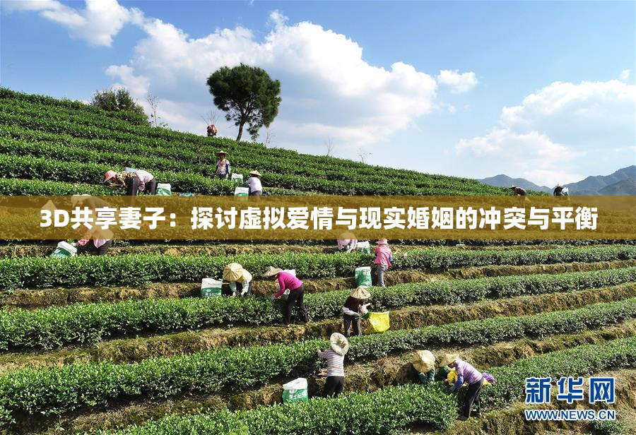 3D共享妻子：探讨虚拟爱情与现实婚姻的冲突与平衡