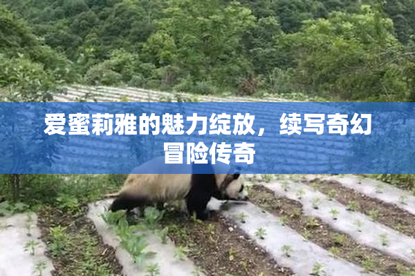爱蜜莉雅的魅力绽放，续写奇幻冒险传奇