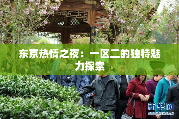 东京热情之夜：一区二的独特魅力探索