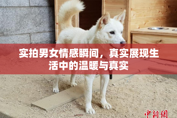 实拍男女情感瞬间，真实展现生活中的温暖与真实
