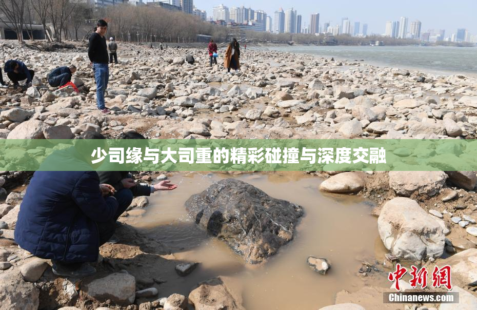 少司缘与大司重的精彩碰撞与深度交融