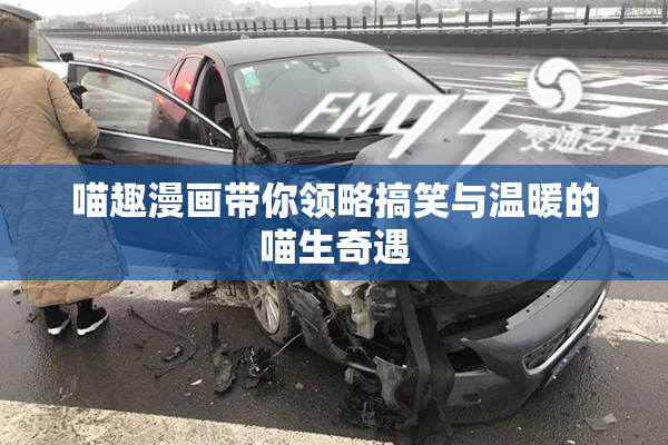 喵趣漫画带你领略搞笑与温暖的喵生奇遇
