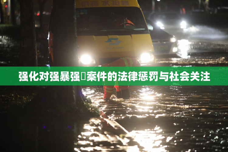 强化对强暴强姦案件的法律惩罚与社会关注
