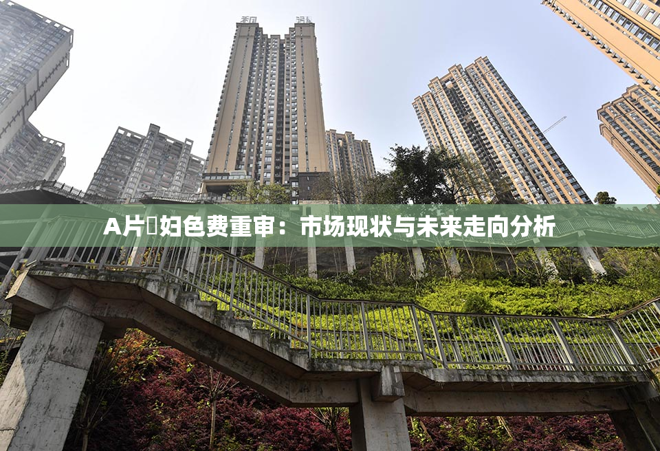 A片婬妇色费重审：市场现状与未来走向分析