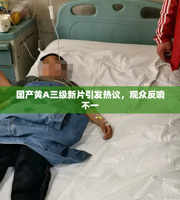 国产黄A三级新片引发热议，观众反响不一