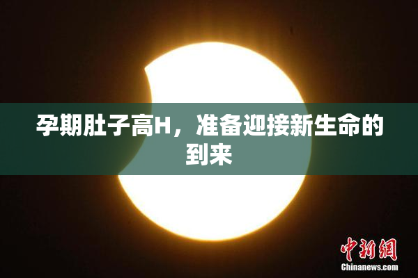 孕期肚子高H，准备迎接新生命的到来