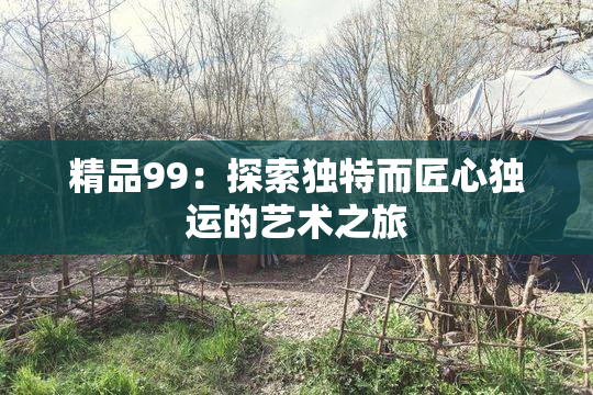精品99：探索独特而匠心独运的艺术之旅