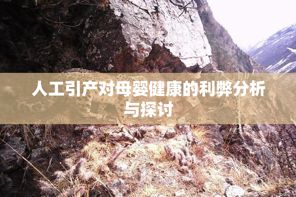 人工引产对母婴健康的利弊分析与探讨