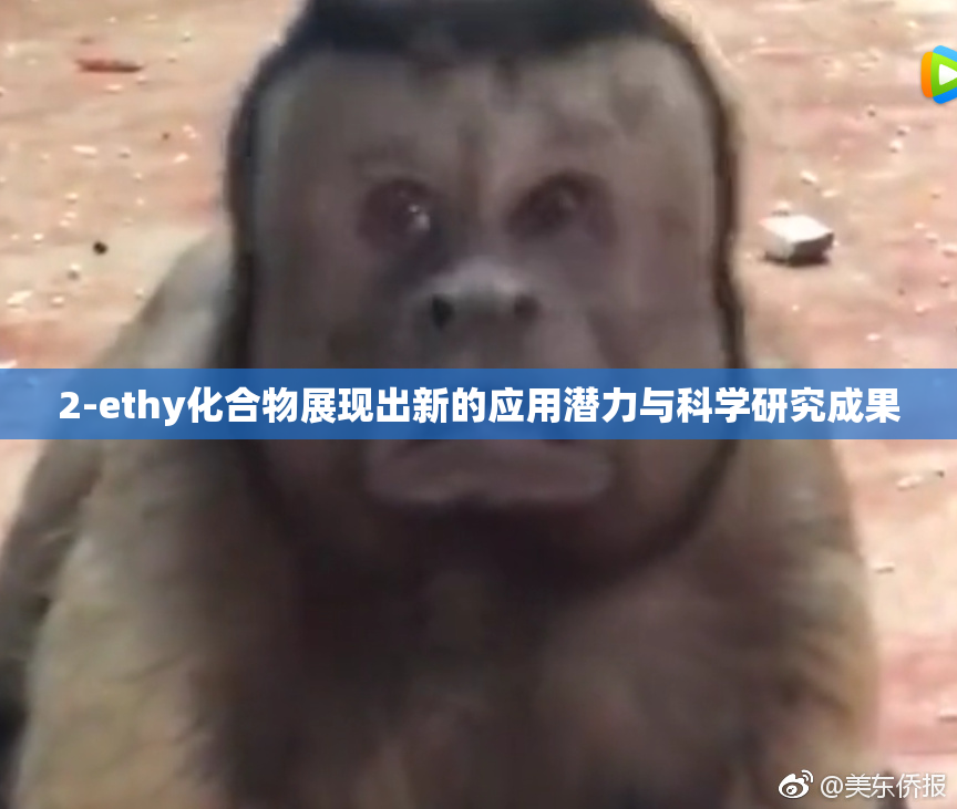 2-ethy化合物展现出新的应用潜力与科学研究成果