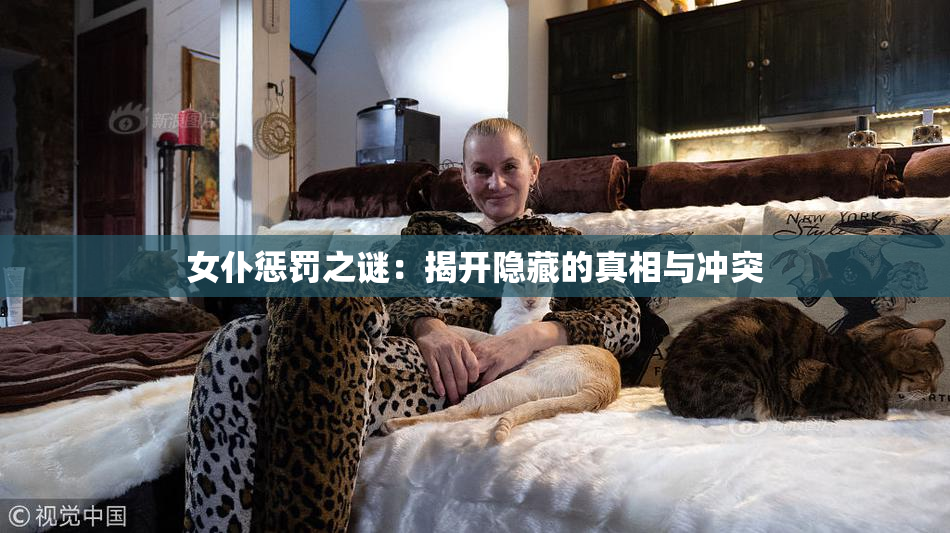 女仆惩罚之谜：揭开隐藏的真相与冲突