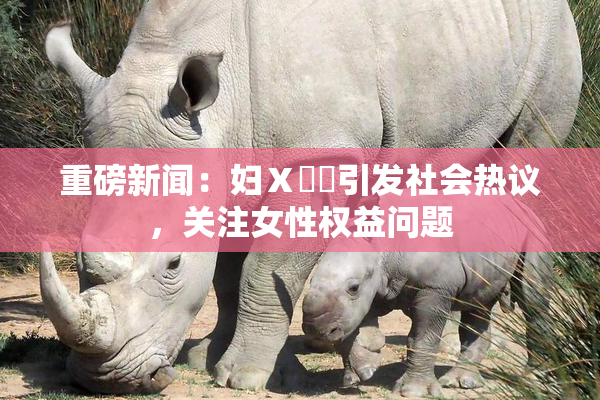 重磅新闻：妇Ⅹ乄乂引发社会热议，关注女性权益问题