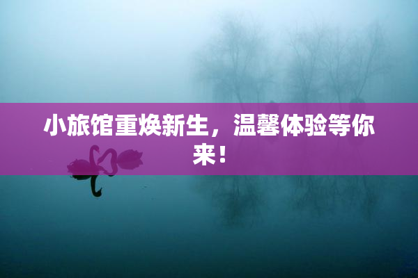 小旅馆重焕新生，温馨体验等你来！