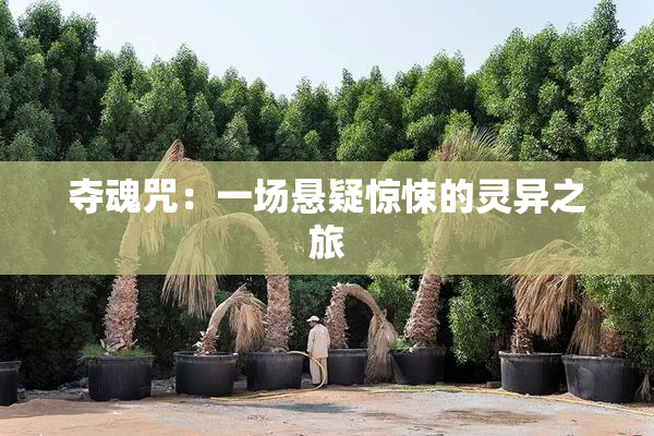 夺魂咒：一场悬疑惊悚的灵异之旅