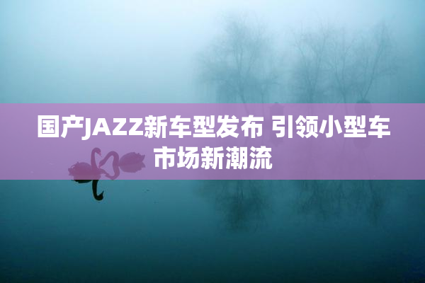 国产JAZZ新车型发布 引领小型车市场新潮流