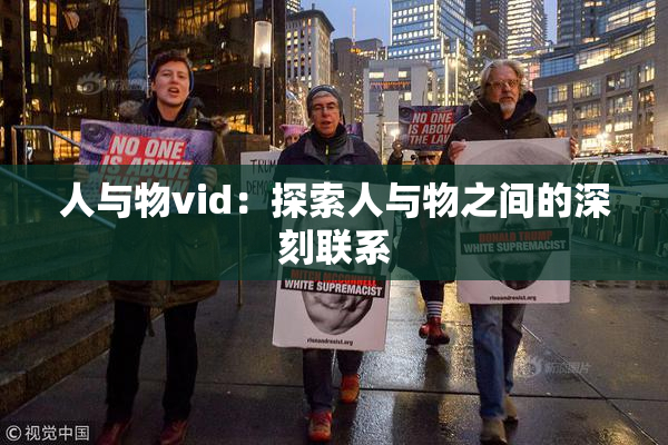人与物vid：探索人与物之间的深刻联系
