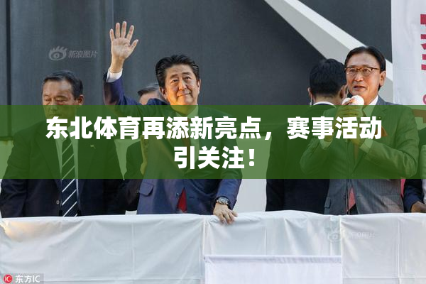 东北体育再添新亮点，赛事活动引关注！