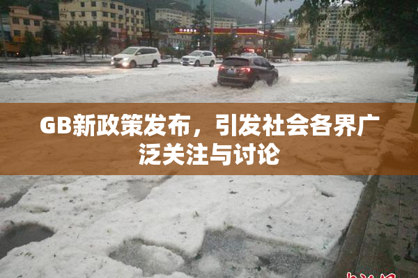 GB新政策发布，引发社会各界广泛关注与讨论