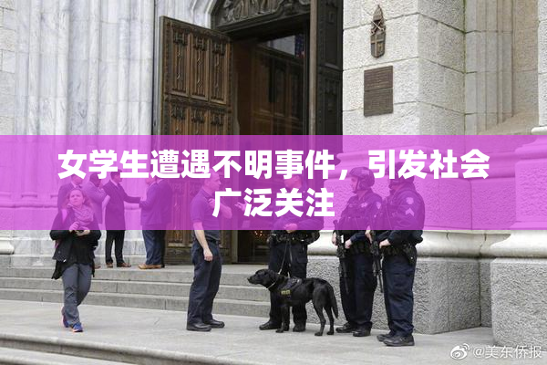 女学生遭遇不明事件，引发社会广泛关注