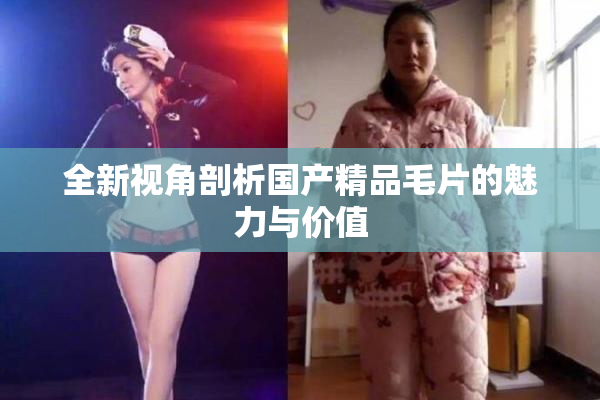 全新视角剖析国产精品毛片的魅力与价值