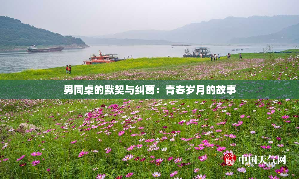 男同桌的默契与纠葛：青春岁月的故事