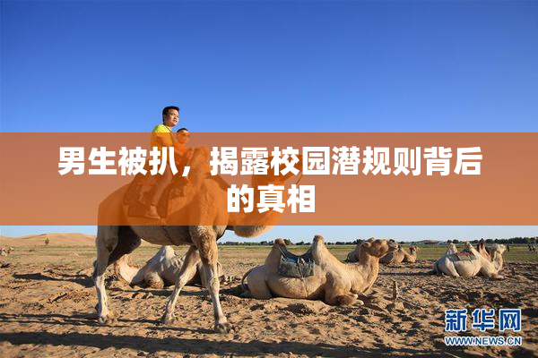 男生被扒，揭露校园潜规则背后的真相