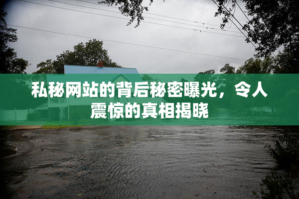 私秘网站的背后秘密曝光，令人震惊的真相揭晓