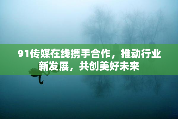 91传媒在线携手合作，推动行业新发展，共创美好未来