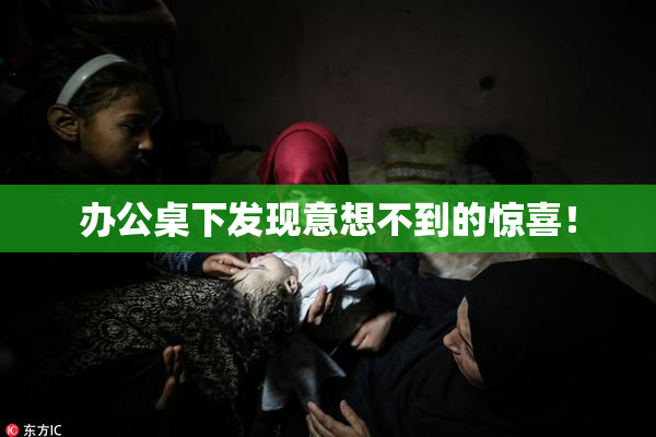 办公桌下发现意想不到的惊喜！