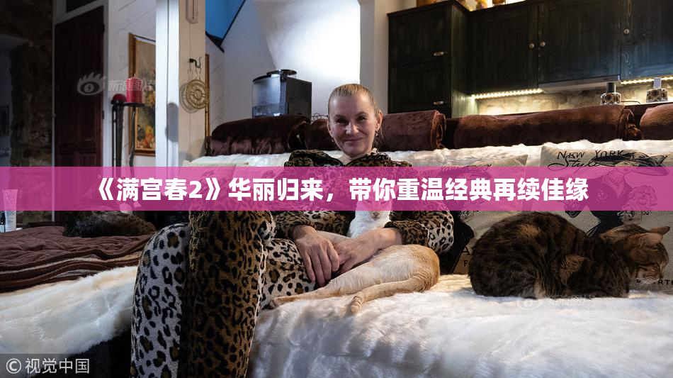 《满宫春2》华丽归来，带你重温经典再续佳缘