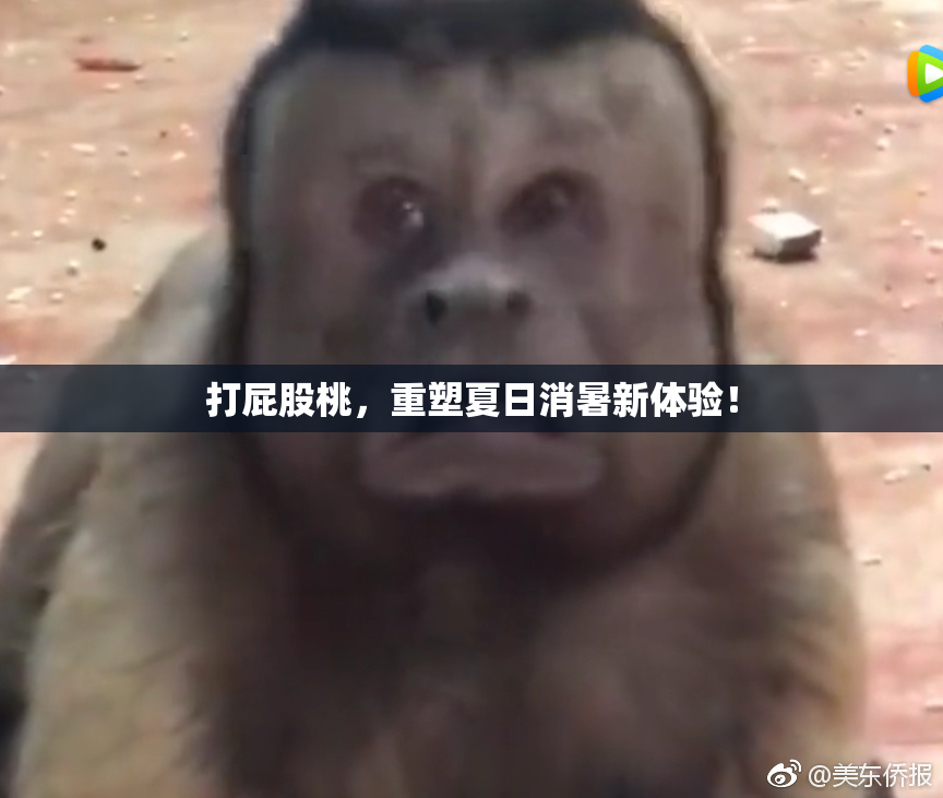 打屁股桃，重塑夏日消暑新体验！