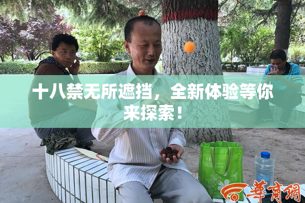 十八禁无所遮挡，全新体验等你来探索！