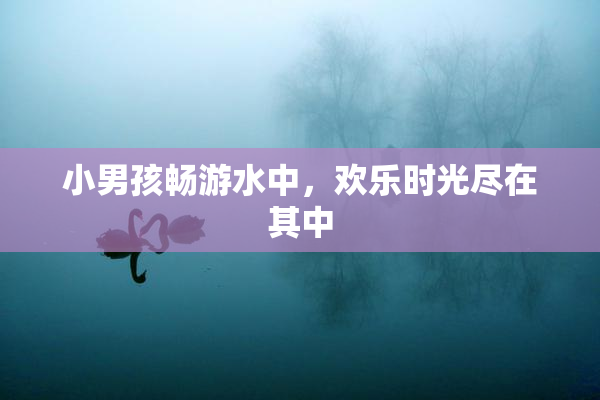 小男孩畅游水中，欢乐时光尽在其中