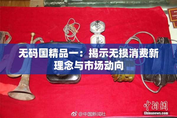 无码国精品一：揭示无损消费新理念与市场动向