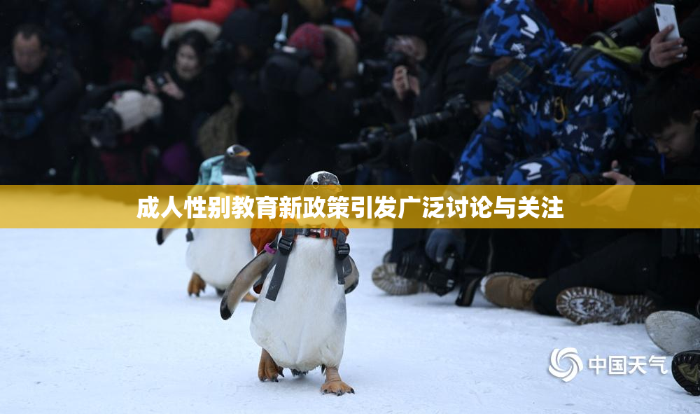 成人性别教育新政策引发广泛讨论与关注