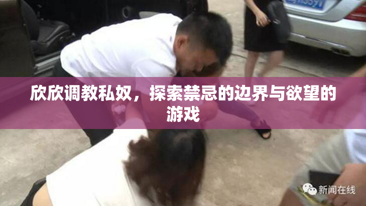 欣欣调教私奴，探索禁忌的边界与欲望的游戏