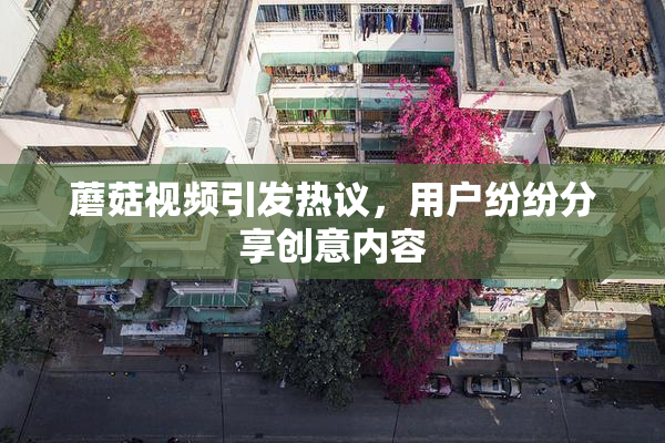 蘑菇视频引发热议，用户纷纷分享创意内容
