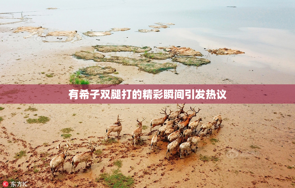有希子双腿打的精彩瞬间引发热议