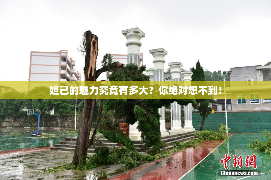 妲己的魅力究竟有多大？你绝对想不到！