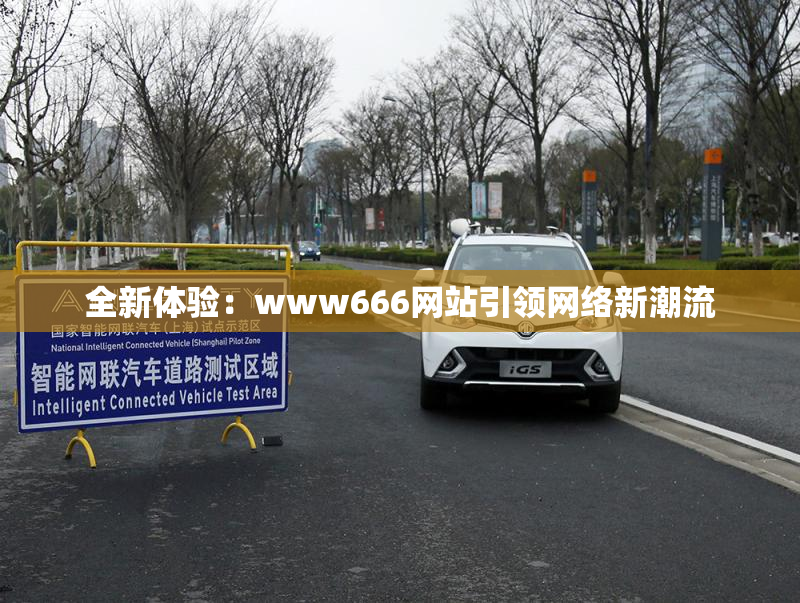 全新体验：www666网站引领网络新潮流