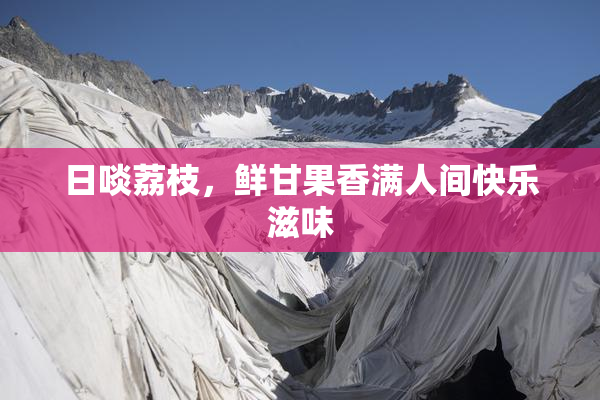 日啖荔枝，鲜甘果香满人间快乐滋味