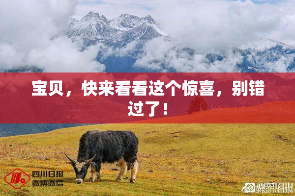 宝贝，快来看看这个惊喜，别错过了！