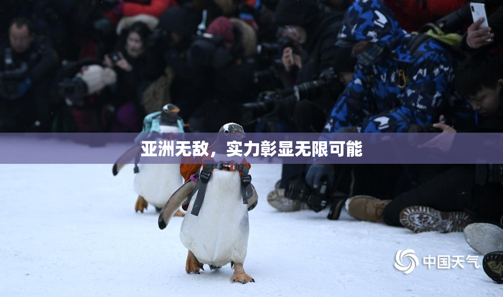 亚洲无敌，实力彰显无限可能