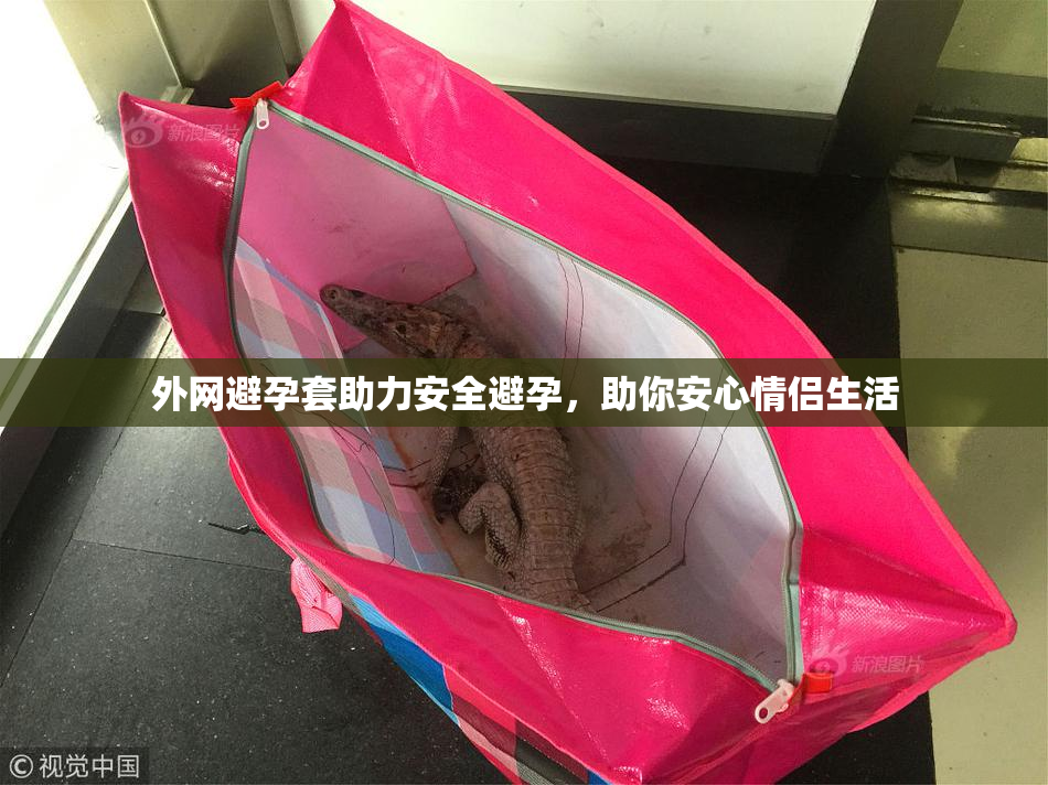 外网避孕套助力安全避孕，助你安心情侣生活