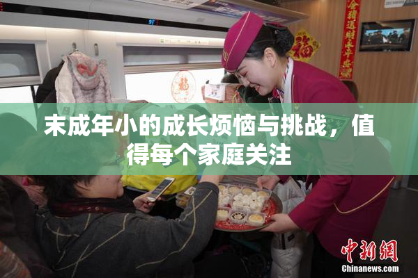 末成年小的成长烦恼与挑战，值得每个家庭关注