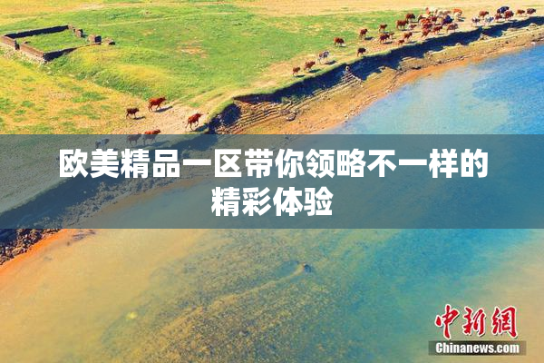 欧美精品一区带你领略不一样的精彩体验