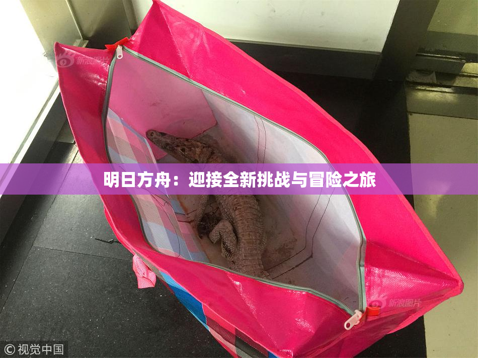 明日方舟：迎接全新挑战与冒险之旅