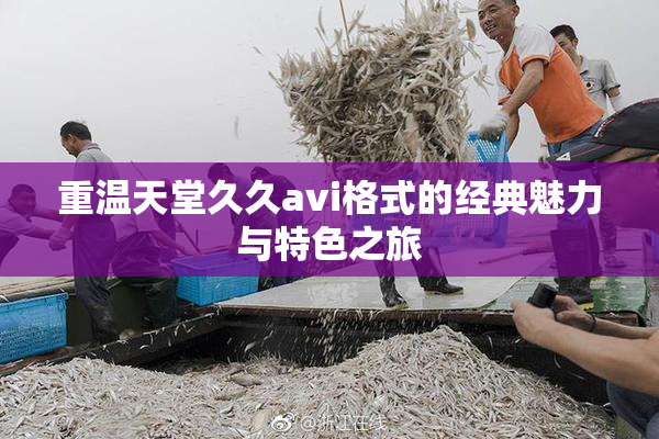 重温天堂久久avi格式的经典魅力与特色之旅
