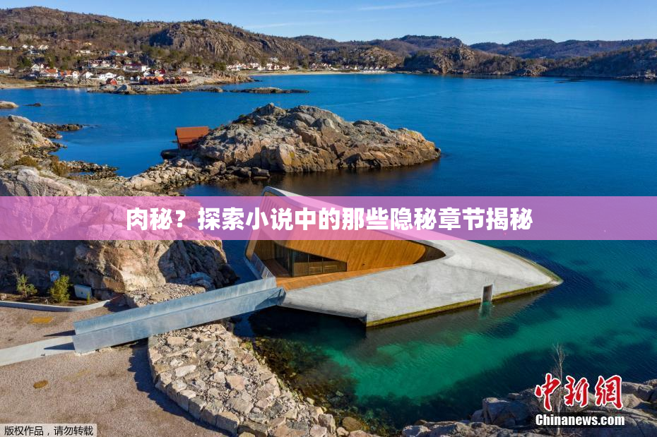 肉秘？探索小说中的那些隐秘章节揭秘